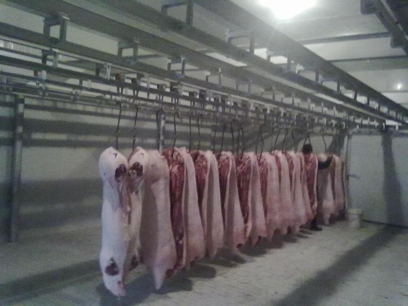 广州某市场猪肉冷库内部结构