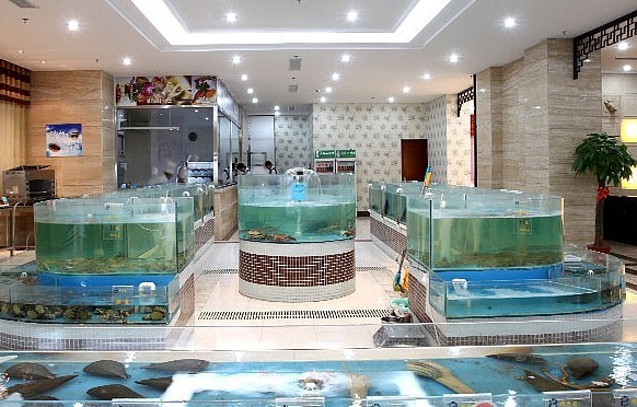 广州酒店海鲜池