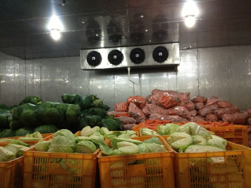 蔬菜冷库工程设计